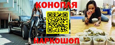 шишки Будённовск