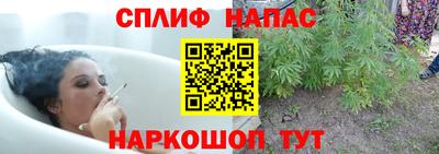 шишки Будённовск