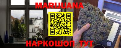 шишки Будённовск