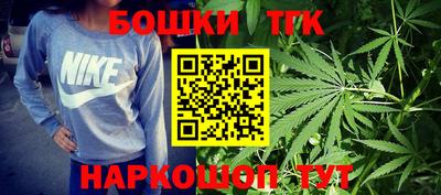 шишки Будённовск