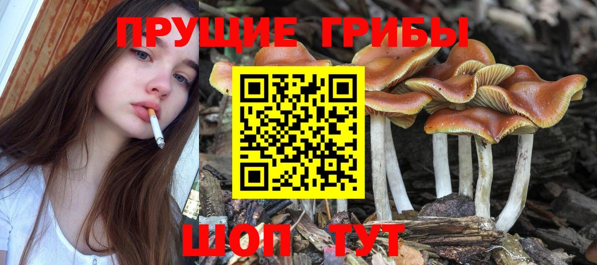 Галлюциногенные грибы Magic Shrooms Первоуральск